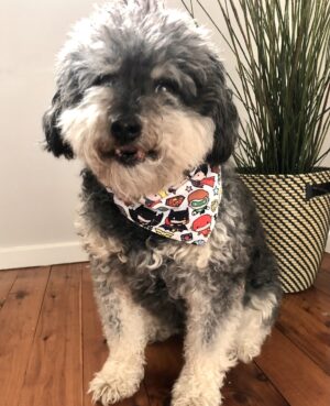 Superhero Furbaby Bandana